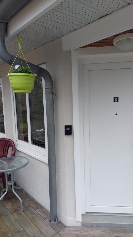 Ferienwohnung Am Stadtwald Freiberg Zewnętrze zdjęcie